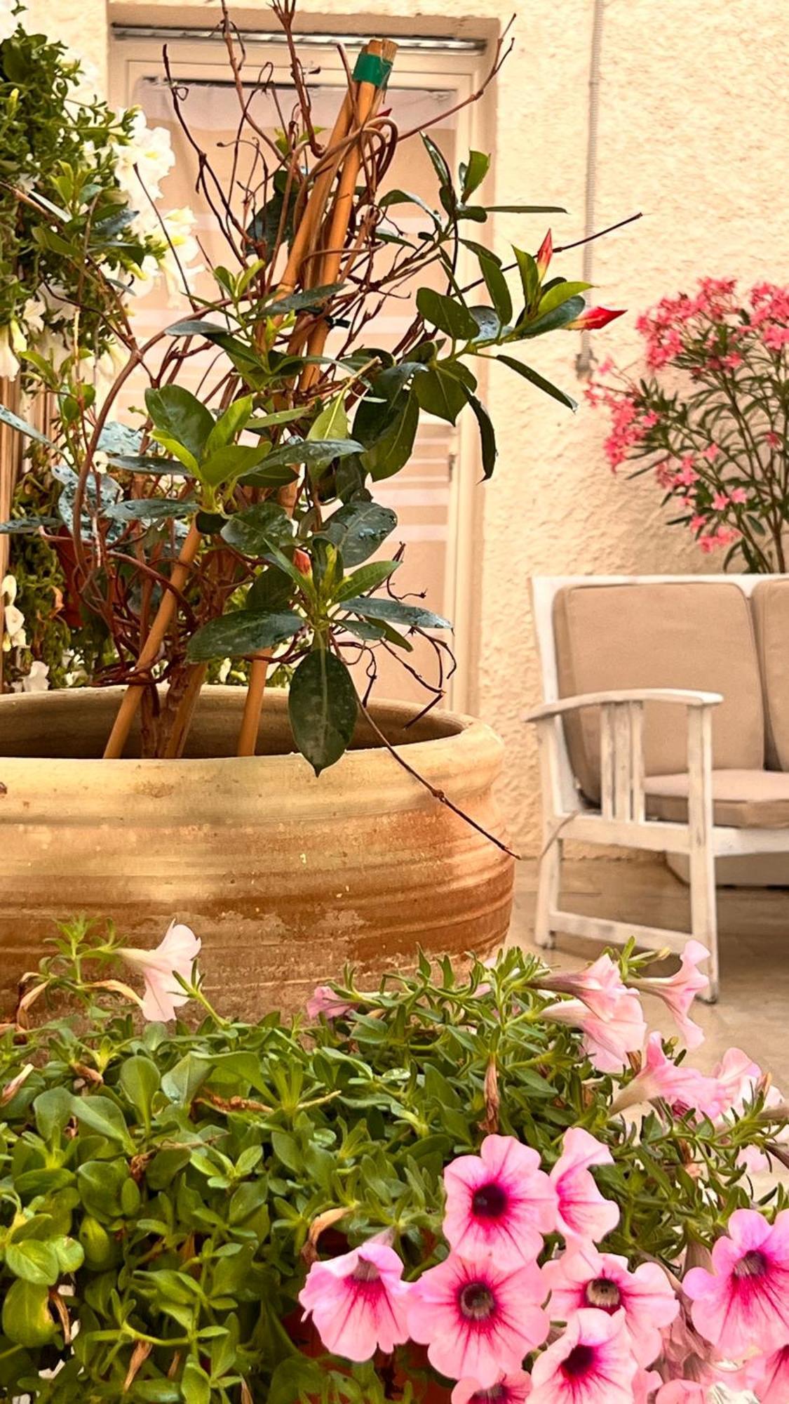 Dimora Donna Vitalia Apartments Trapani Exteriör bild